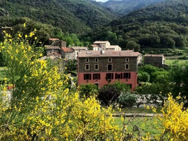 Auberge Cevenole فاليراوغ المظهر الخارجي الصورة