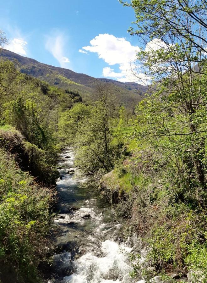 Auberge Cevenole فاليراوغ المظهر الخارجي الصورة